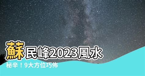 蘇民峯2023門口地毯